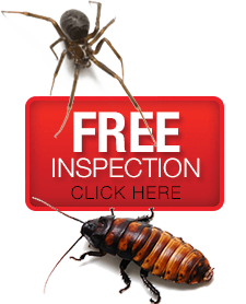 shop local, local owned, pest control, pest inspections, real estate pest inspections, extermination, exterminations, exterminators, exterminator, kalamazoo, battle creek, portage, galesburg, michigan, local owned, local operated, exact pest control, premier pest control